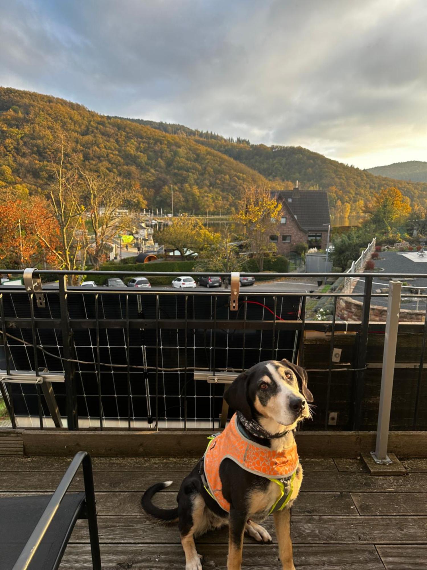 Hotel Haus Seeblick Apartments Am See Obermaubach Exterior foto